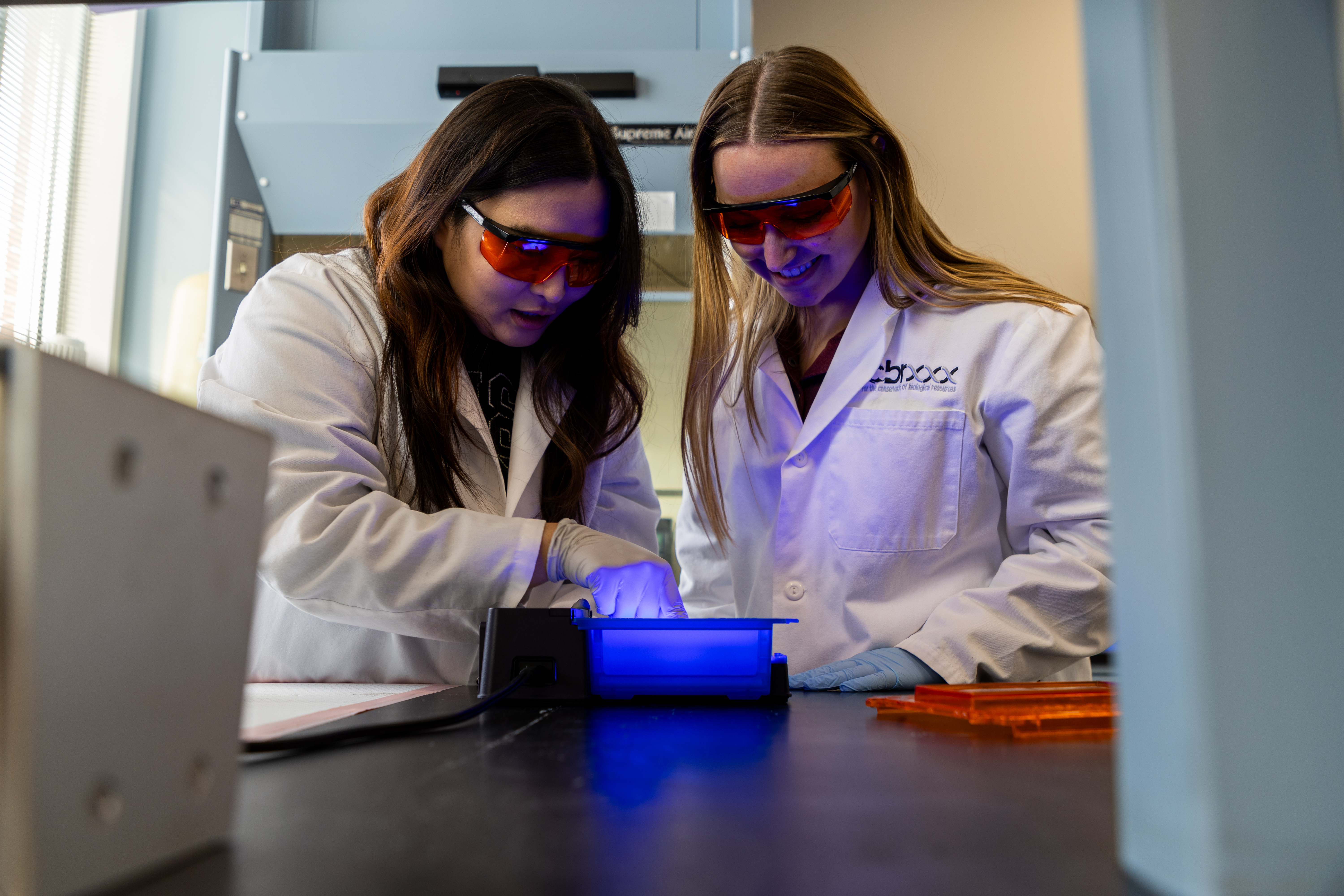 Two female Integrative Genomics students work together on a project in a lab.