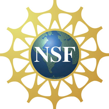 NSF logo with white letters on a globe and golden sunburst.
