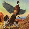 Photo of Dunn's painting of a pheasant.